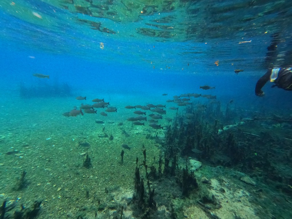 Brasilien – Der Abschluss&nbsp;2