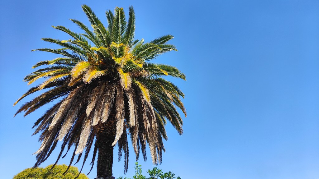 Buenos Aires zu&nbsp;Dritt